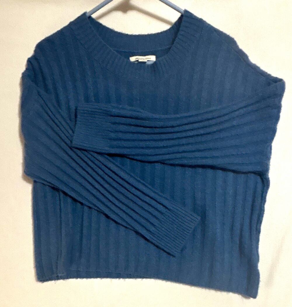American Eagle Sweater Womens M Blue Rib-Knit Crew Neck Long Sleeve Pullover